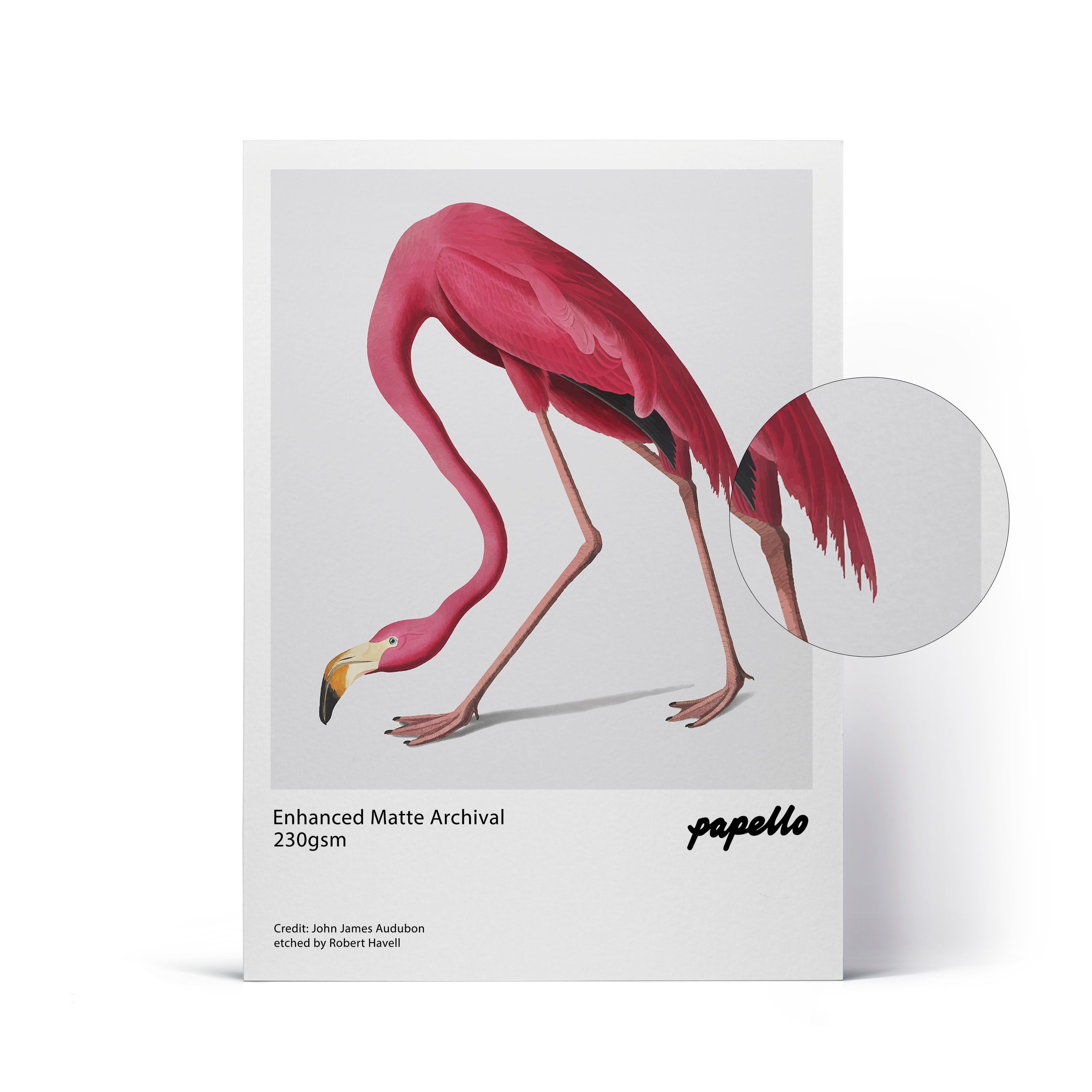 Enhanced Archival Matte 230gsmpaper for giclée printing