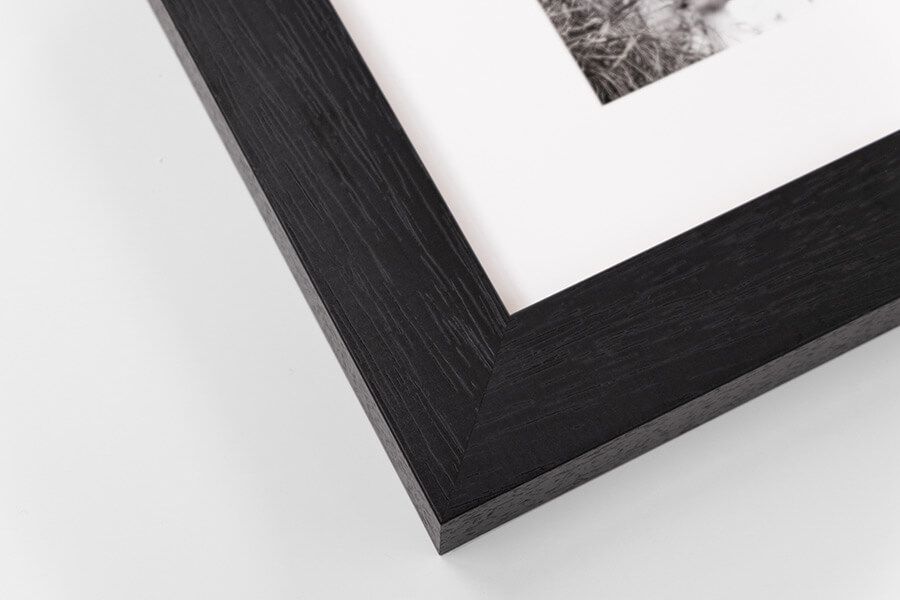 Close-up of black frame with white mount