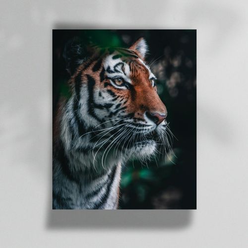 Hahnemuhle Photo Lustre - View 3