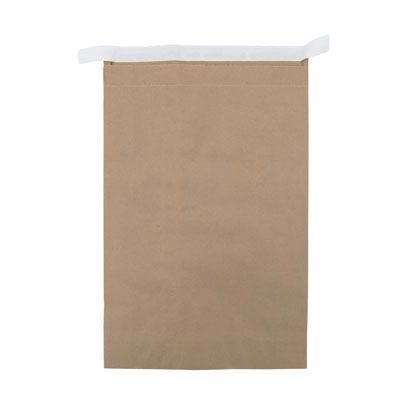 Paper Postal Bag